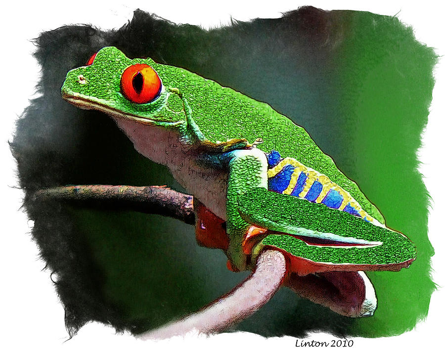 Red-eyed Leaf Frog #5 Digital Art by Larry Linton