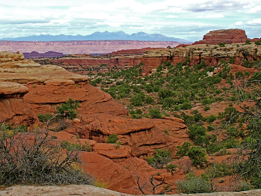 Return Trail to Elephant Hill in Needles District in  Canyonlands National Park, Utah  #5 Photograph by Ruth Hager