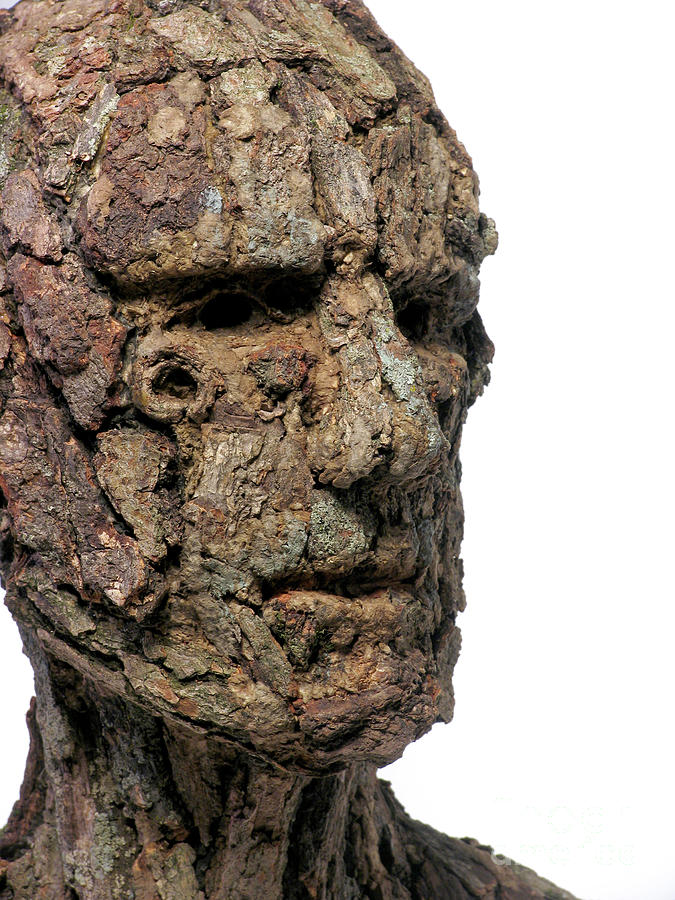 Revered A natural portrait bust sculpture by Adam Long #5 Mixed Media by Adam Long