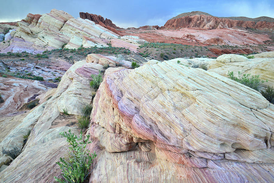 Ripples of Color in Valley of Fire #1 Photograph by Ray Mathis