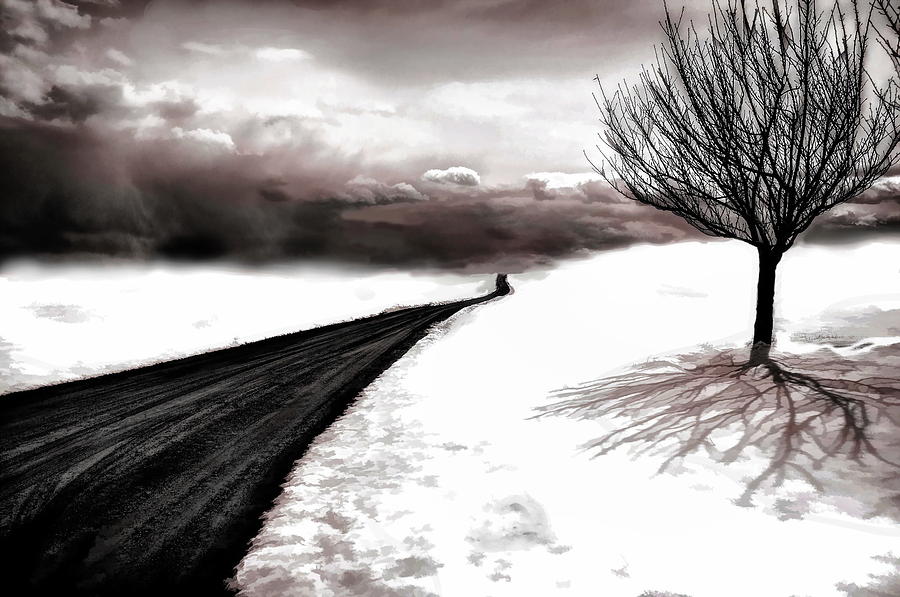 Winter Digital Art - Road #5 by Maye Loeser