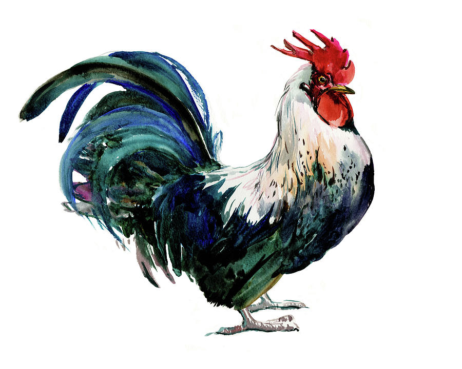 Rooster #5 Painting by Suren Nersisyan