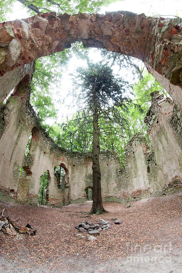 Ruins of the Baroque chapel of Saint Mary Magdalene #5 Photograph by Michal Boubin