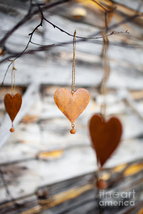 Rustic hearts #5 Photograph by Kati Finell