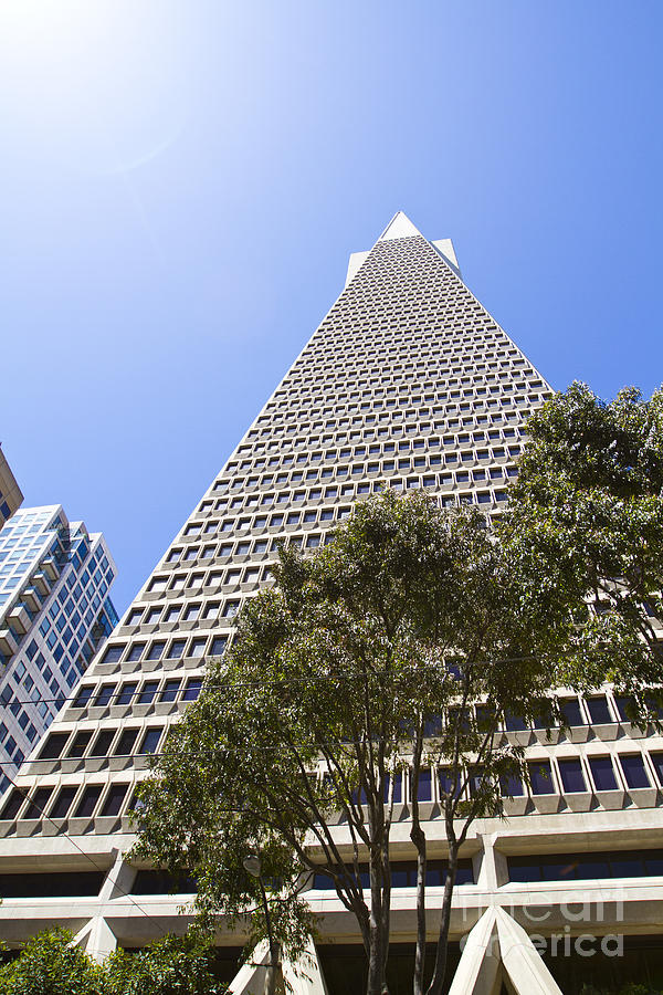 San Francisco Transamerica Pyramid Building #5 Photograph by ELITE IMAGE photography By Chad McDermott