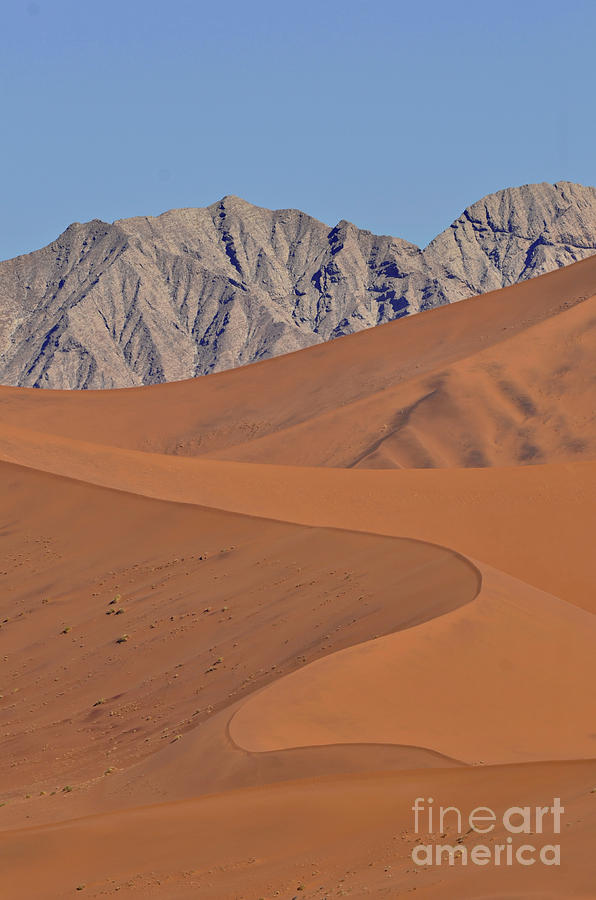 Sand Dunes In Sossusvlei #5 Photograph by Francesco Tomasinelli