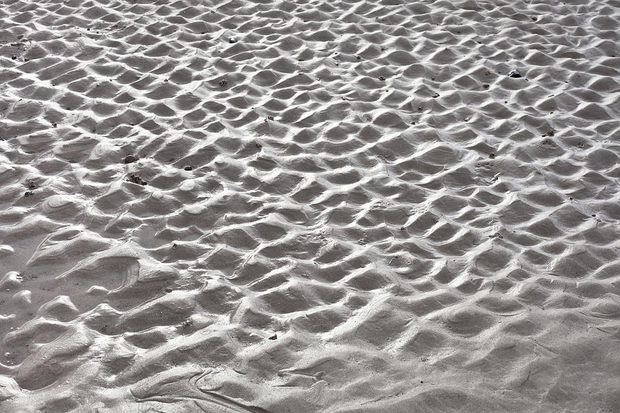 Sand pattern #5 Photograph by Tom Gowanlock