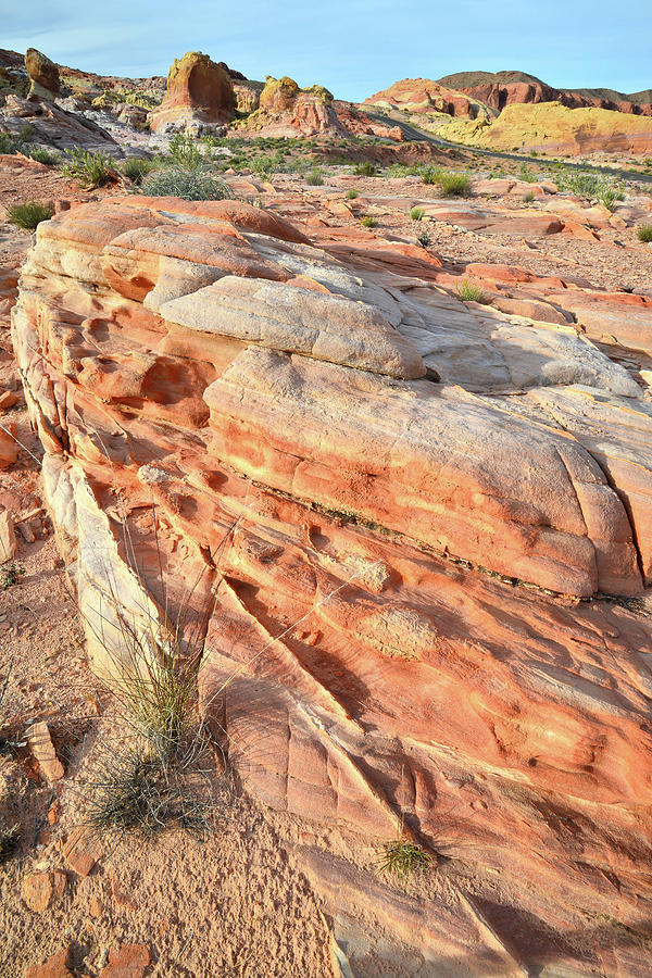 Sandstone Wave in Valley of Fire #2 Photograph by Ray Mathis