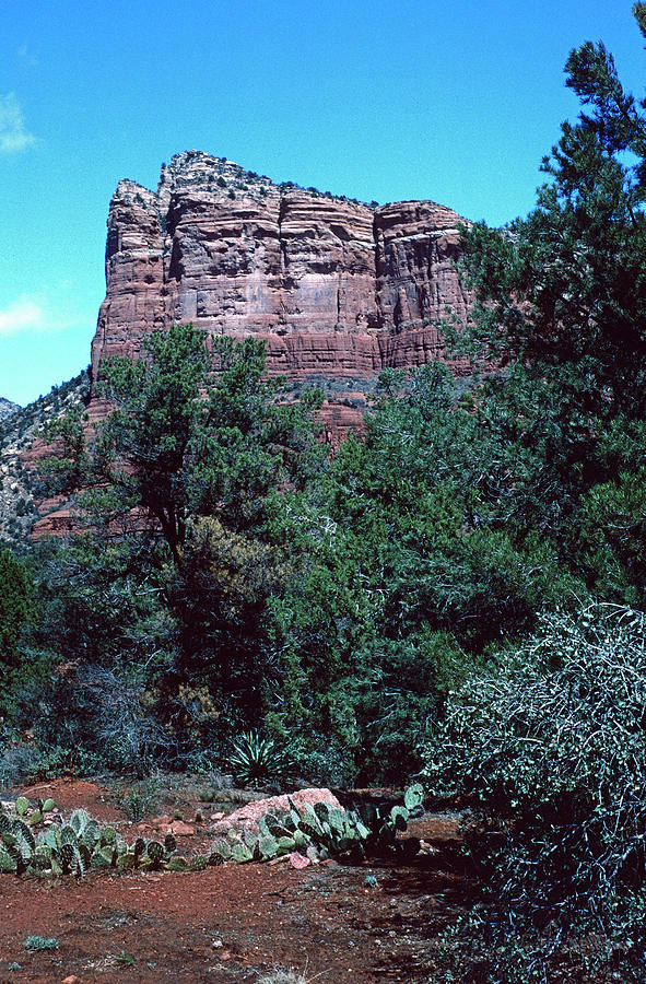 Sedona Red Rock #5 Photograph by Ira Marcus