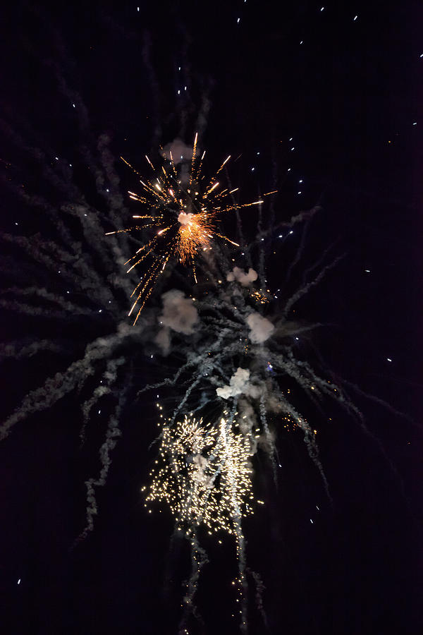 Shining Colorful Firework Over A Dark Night Sky #5 Photograph by Gina Koch