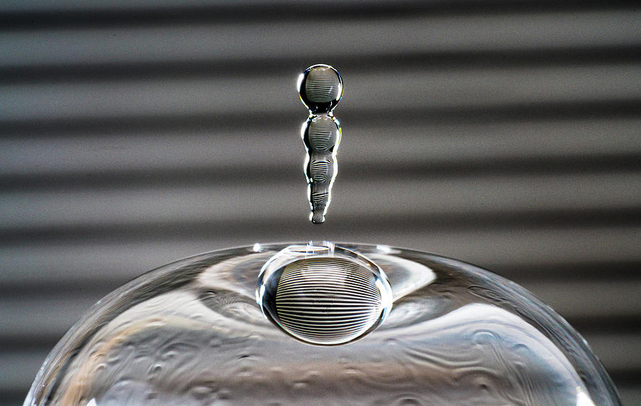 Soap Bubble Drop by Max Neivandt Soap Bubble Drop by Max Neivandt