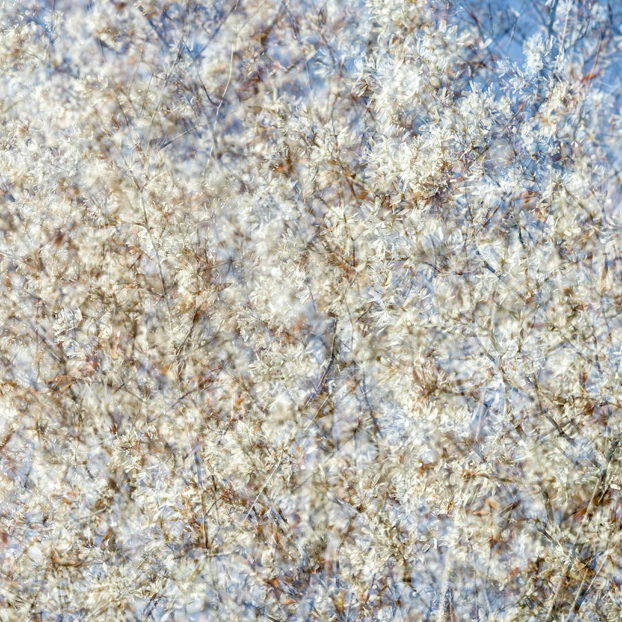 Spring Season - Inspired by Jackson Pollock #6 Photograph by Shankar Adiseshan