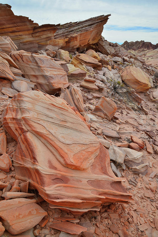 Stacks of Color in Valley of Fire #5 Photograph by Ray Mathis