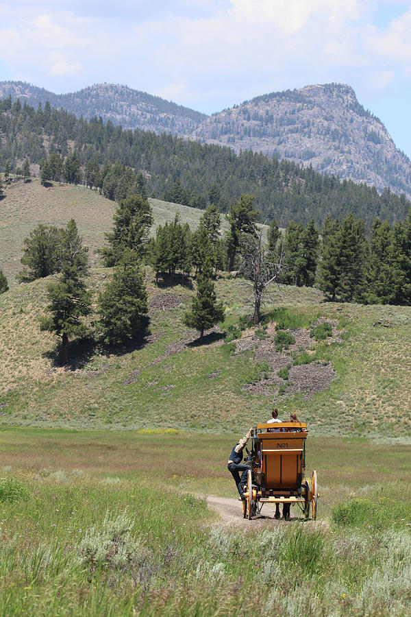 Stagecoach Yellowstone USA #5 Photograph by Bob Savage
