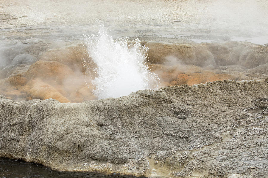 Steaming Geyser Vents At Fountain Paint Pots In Yellowstone Nati Photograph