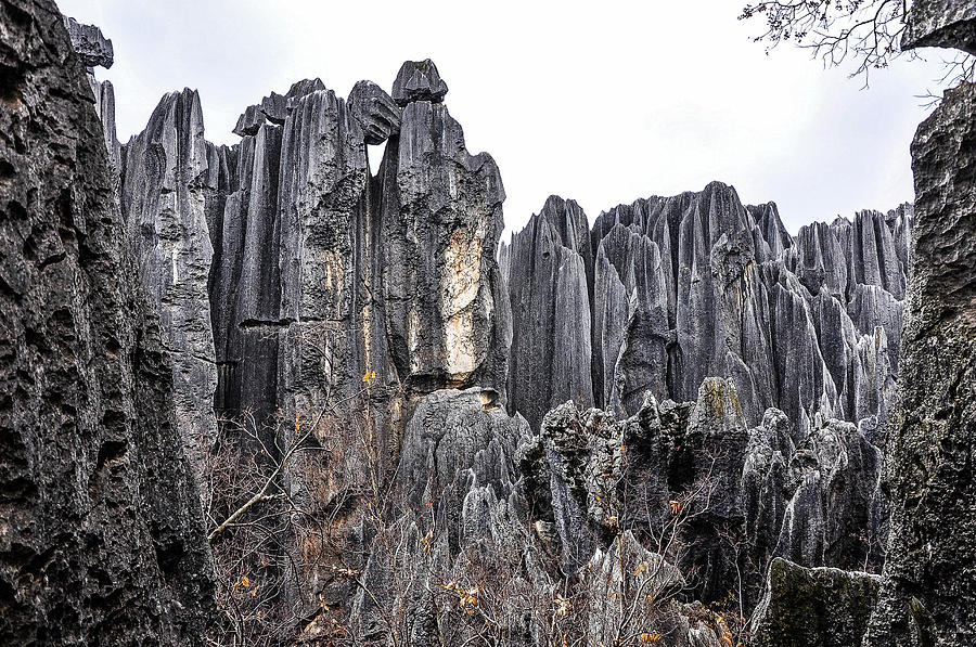 Stone forest scenery #5 Photograph by Carl Ning
