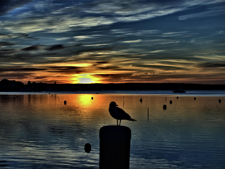 Sunrise Onset Pier #10 Photograph by Bruce Gannon