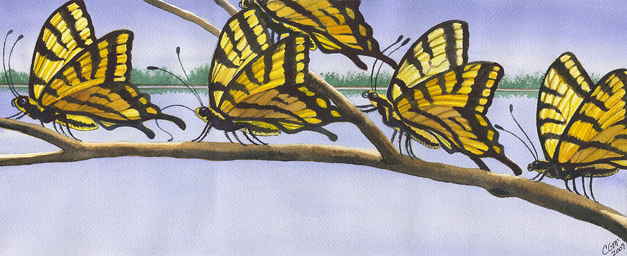 5 Swallowtails Painting by Catherine G McElroy