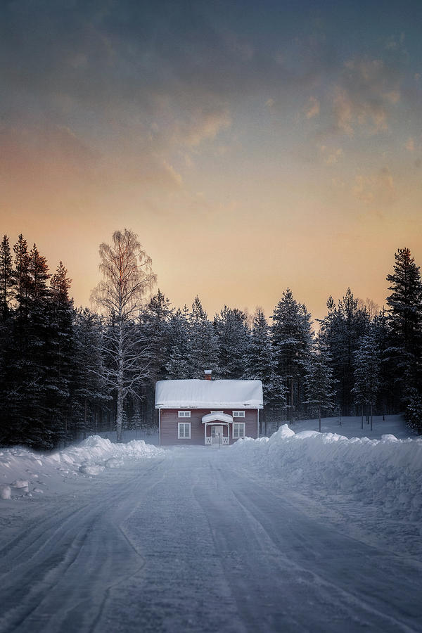 Swedish Lapland #5 Photograph by Joana Kruse