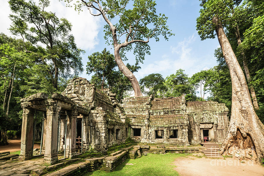  Ta Prohm temple in Angkor #5 Photograph by Didier Marti