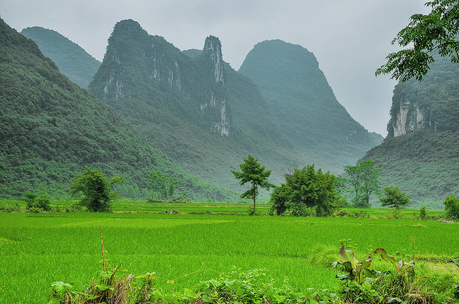 The beautiful karst rural scenery #5 Photograph by Carl Ning