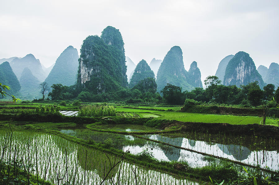 The beautiful karst rural scenery in spring #5 Photograph by Carl Ning