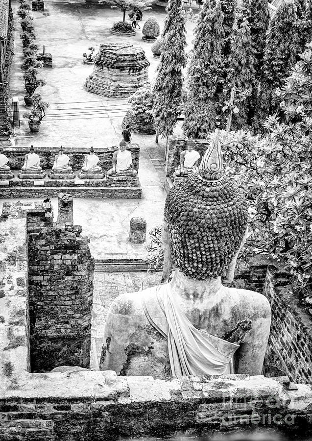The Buddha Statues of Wat Yai Chai Mongkol Photograph by Rene Triay FineArt Photos