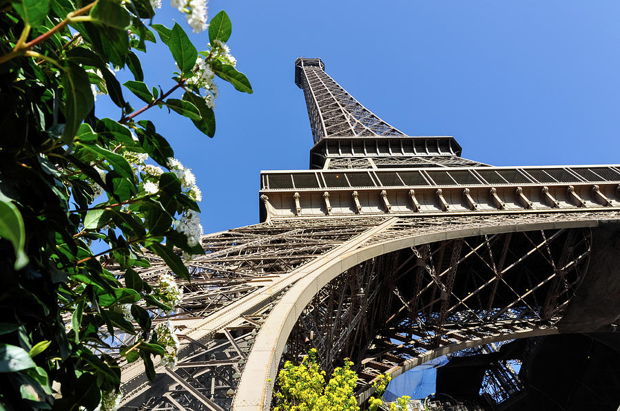 The Eiffel Tower in Paris #5 Photograph by Dutourdumonde Photography