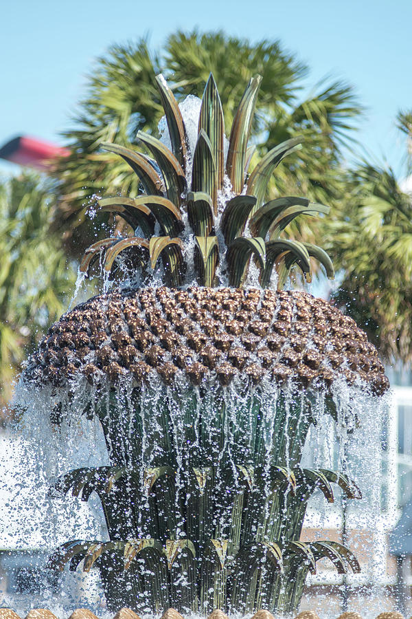 The Pineapple Fountain, at the Waterfront Park in Charleston, So #5 Photograph by Alex Grichenko
