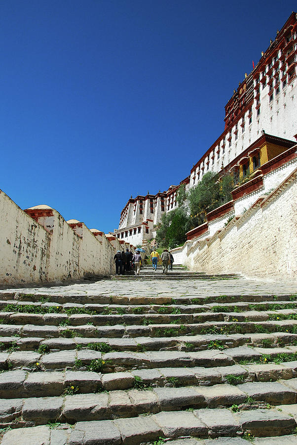 The Potala Palace #5 Photograph by Carl Ning