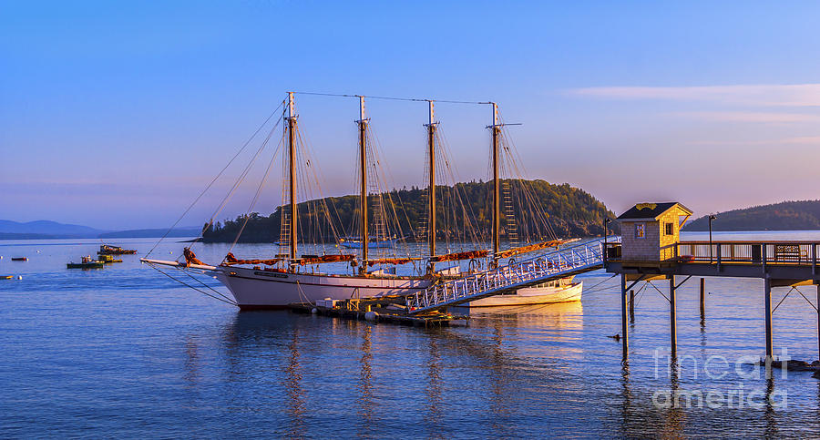 The Schooner Margaret Todd #5 Photograph by New England Photography