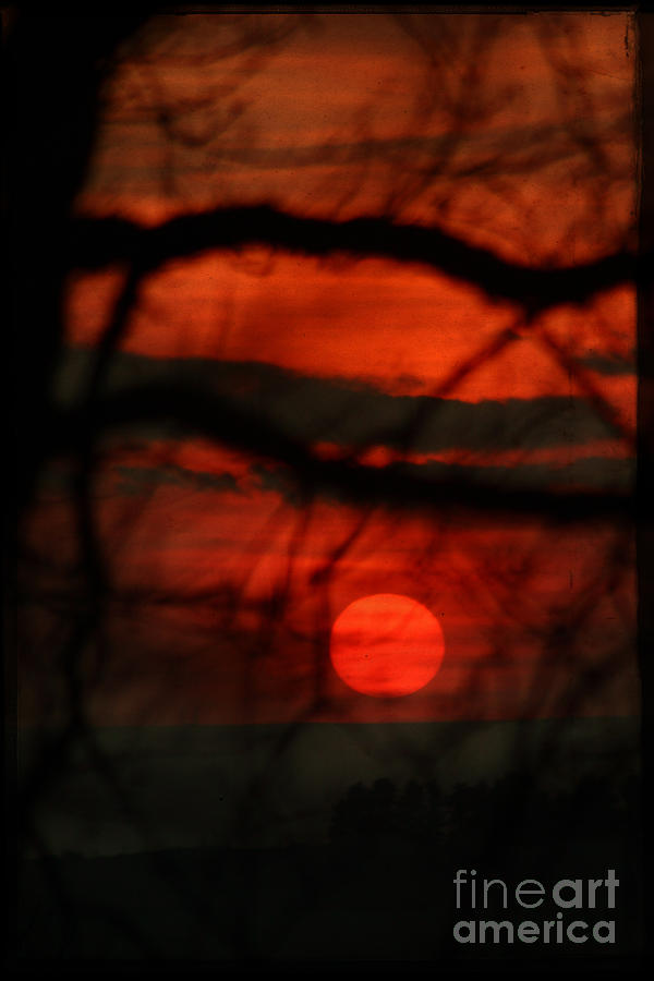 The Sunset Photograph