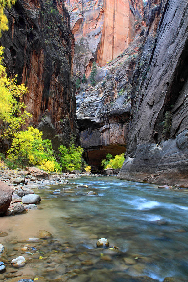 the Virgin narrows in Zion #5 Photograph by Pierre Leclerc Photography