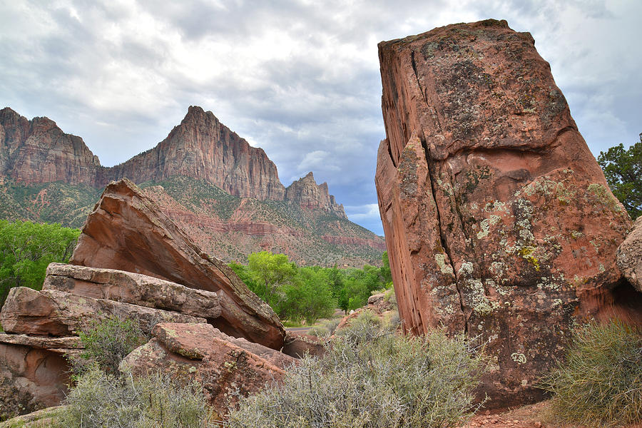 The Watchman #7 Photograph by Ray Mathis