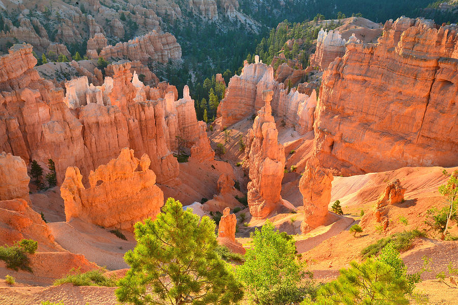 Bryce Canyon National Park Photograph - Thors Hammer #9 by Ray Mathis
