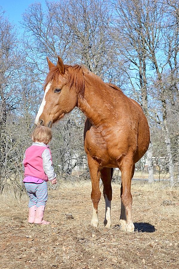 Toddler and Horse #5 Photograph by Maria Jansson