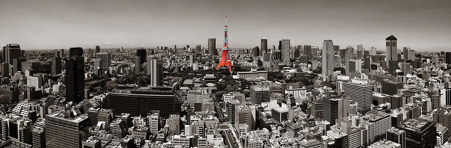 Tokyo Skyline #5 Photograph by Songquan Deng