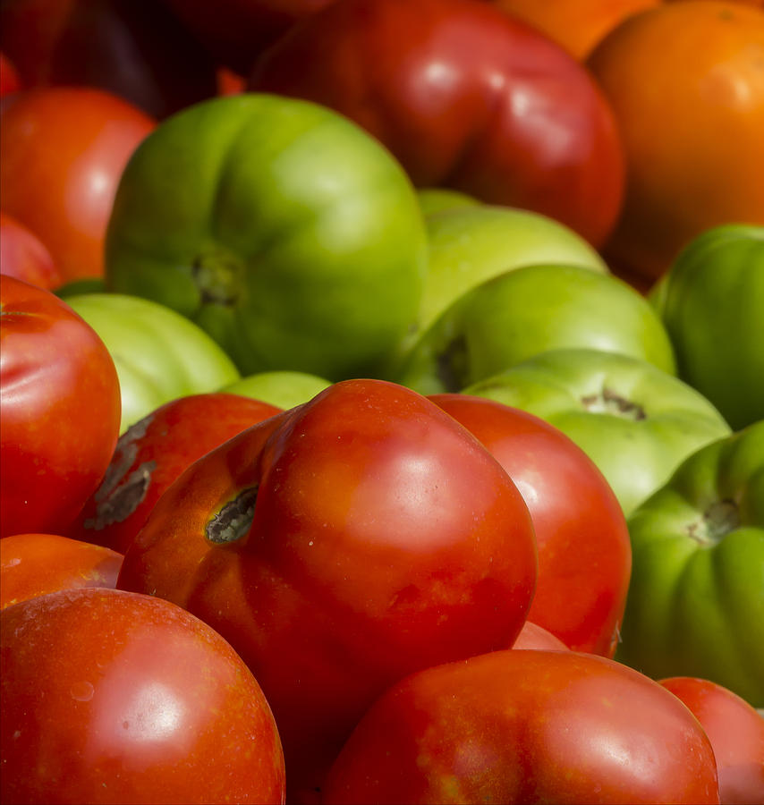 Tomatoes #5 Photograph by Robert Ullmann