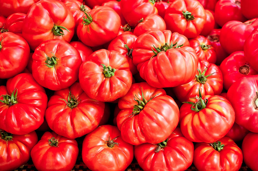 Tomato Photograph - Tomatoes #5 by Tom Gowanlock