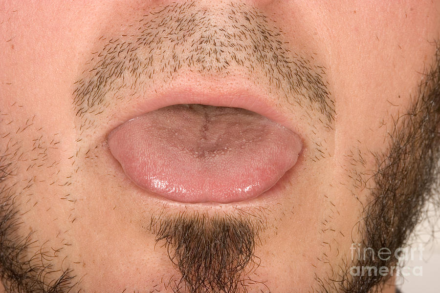 Tongue #5 Photograph by Ted Kinsman