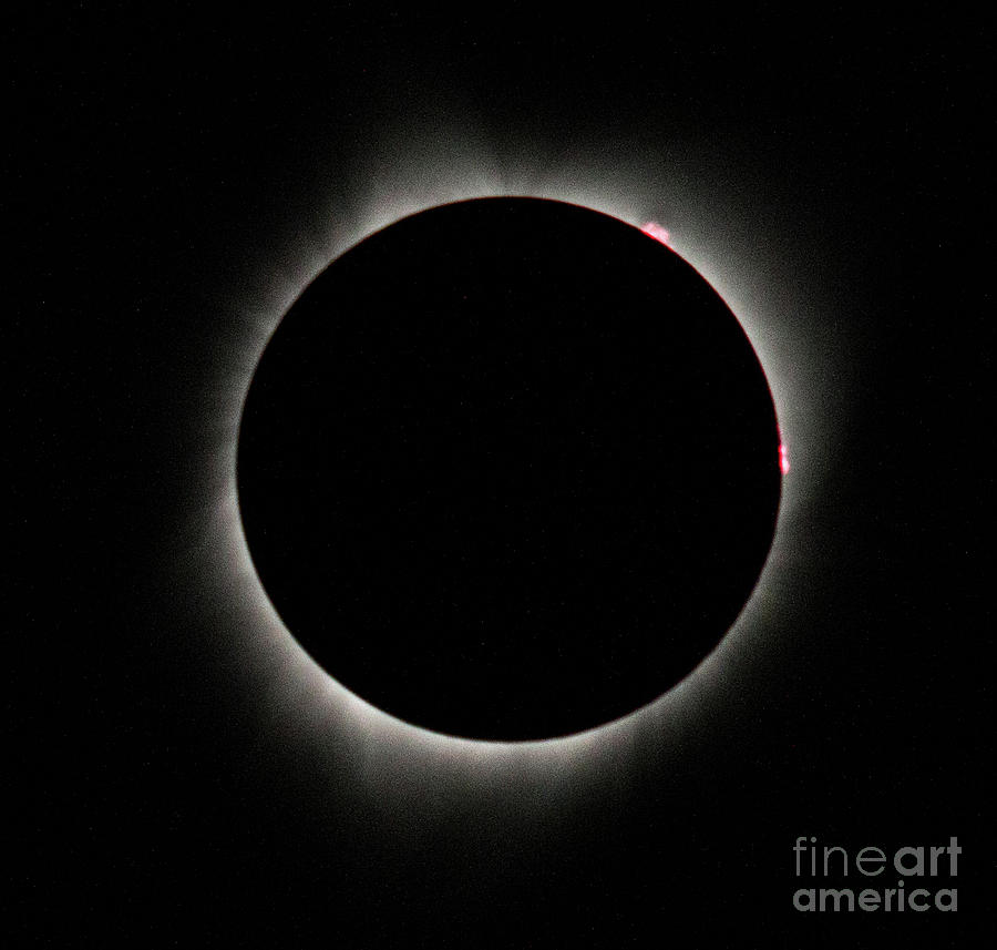 Total Solar Eclipse #5 Photograph by Mark Jackson