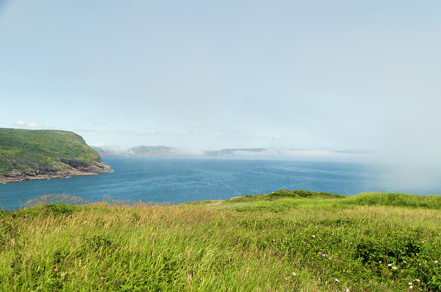 View From Cape Spear Walking Trails 9 Photograph
