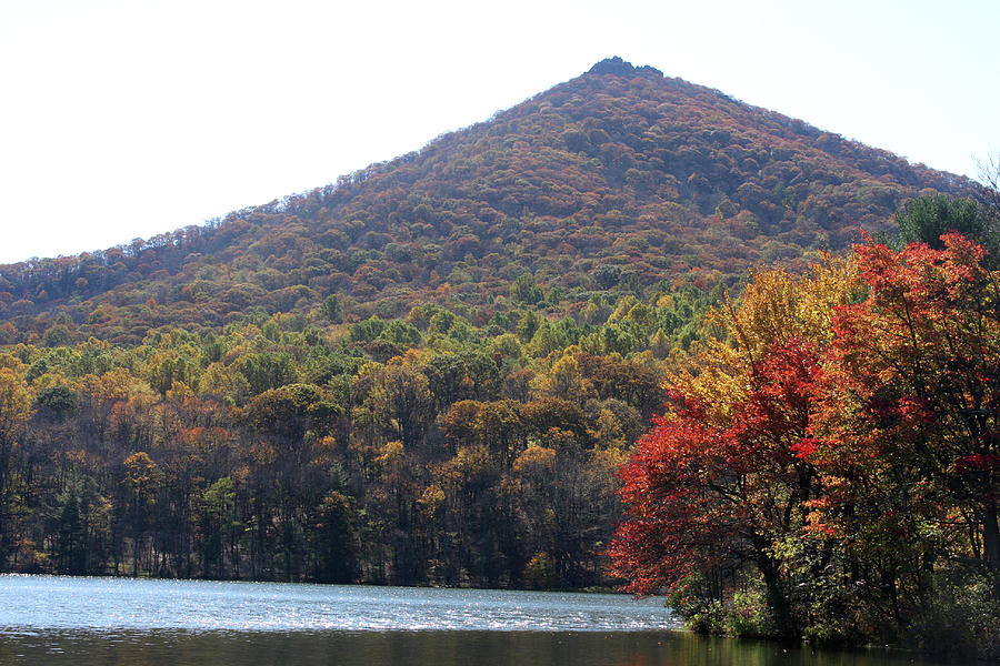 View of Abbott Lake and Sharp Top in autumn #5 Photograph by Emanuel Tanjala