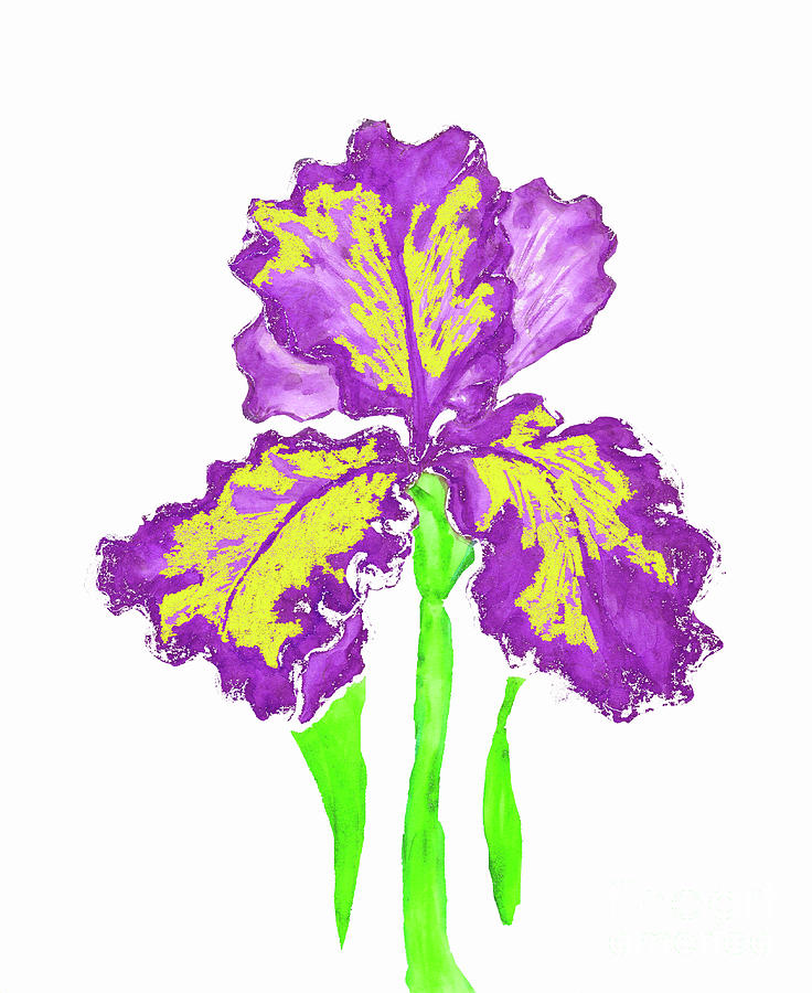 Violet-yellow iris, painting #5 Painting by Irina Afonskaya