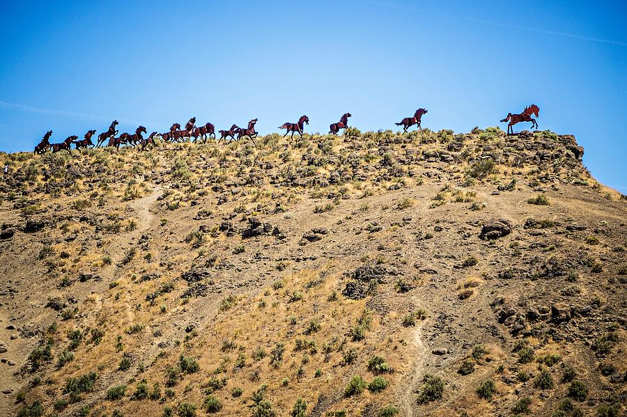 Wanapum Lake Colombia River Wild Horses Monument and canyons #5 Photograph by Alex Grichenko