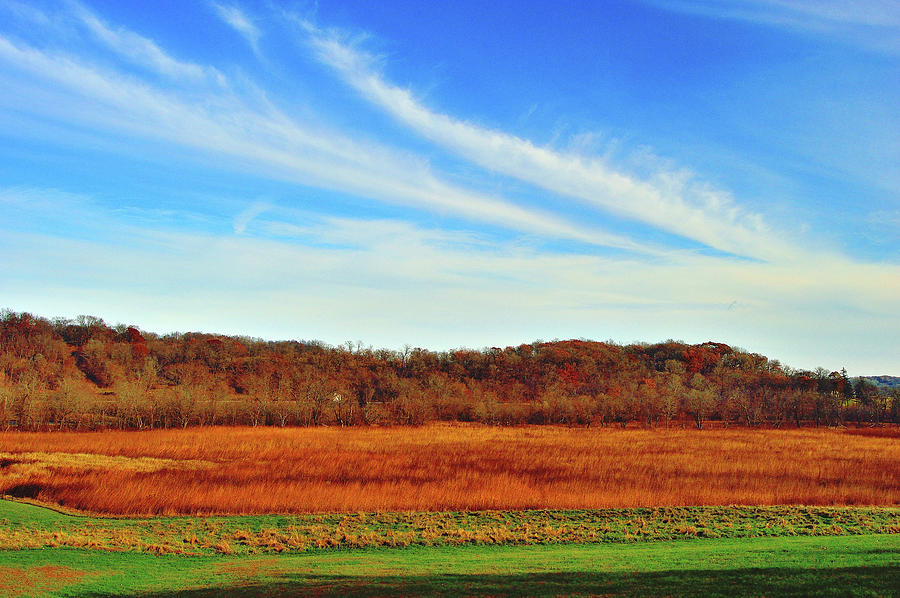 Wapsipinicon State Park - Anamosa IA Photograph by Sherri Hasley - Fine ...