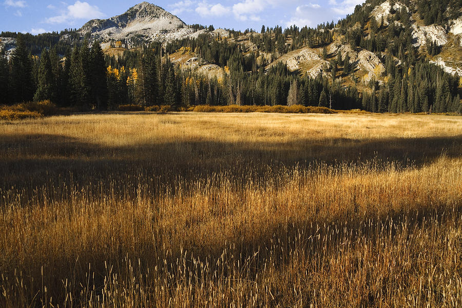 Wasatch Mountains in Autumn #5 Photograph by Douglas Pulsipher