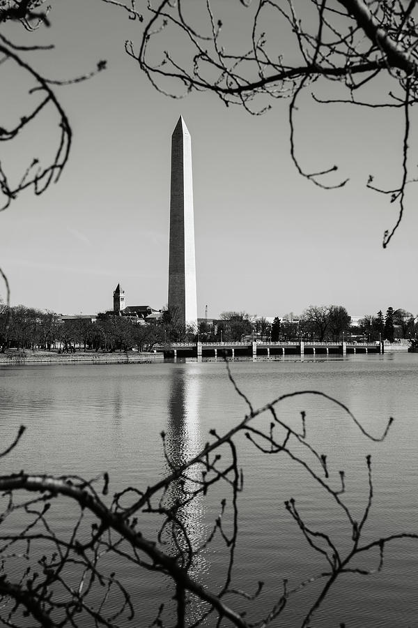 Washington Memorial in Washington DC #5 Photograph by Brandon Bourdages