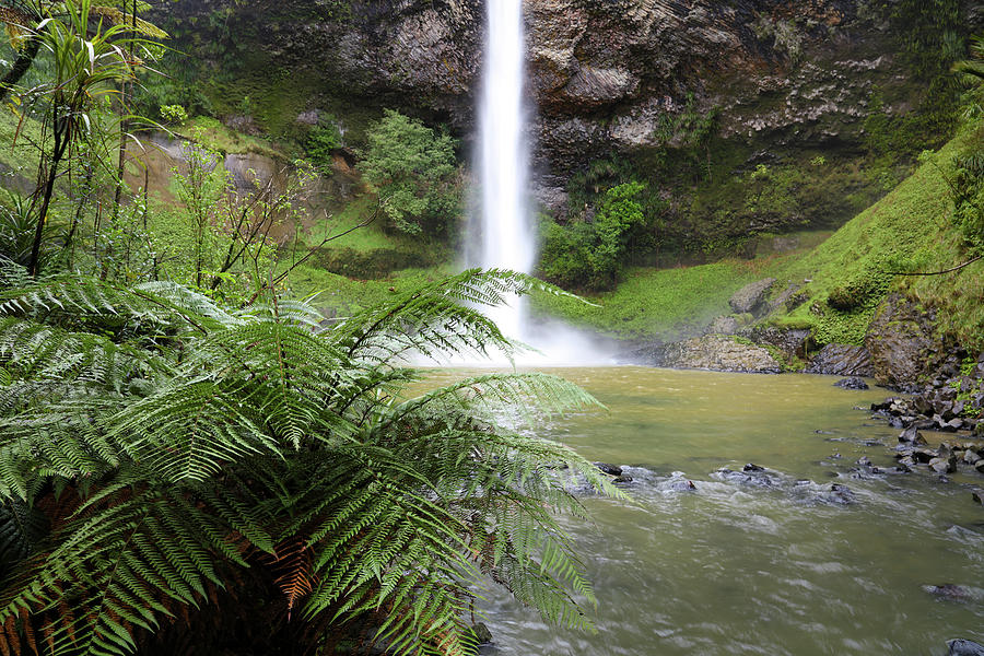Waterfall. New Zealand #5 Photograph by Les Cunliffe