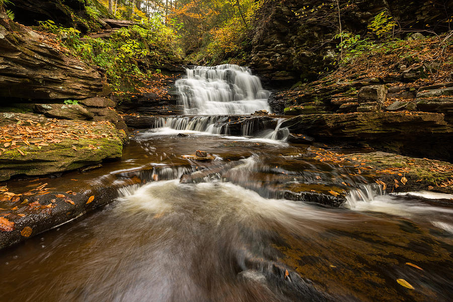 Ricketts Glen State Park Pennsylvania Photograph by Rick Dunnuck - Fine ...